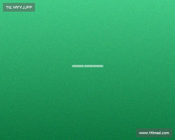 网球赛事口碑分析 如何提升赛事品质与观众体验